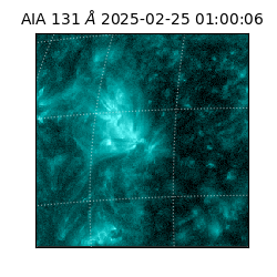 saia - 2025-02-25T01:00:06.622000