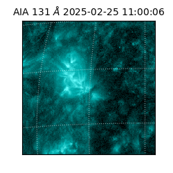 saia - 2025-02-25T11:00:06.622000