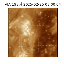saia - 2025-02-25T03:00:04.846000