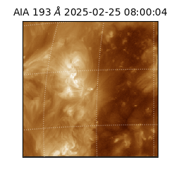 saia - 2025-02-25T08:00:04.844000