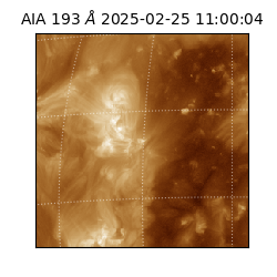 saia - 2025-02-25T11:00:04.843000