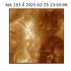 saia - 2025-02-25T23:00:06.936000