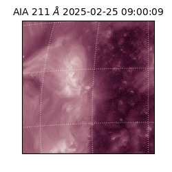 saia - 2025-02-25T09:00:09.626000