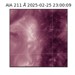 saia - 2025-02-25T23:00:09.622000