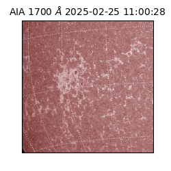 saia - 2025-02-25T11:00:28.717000