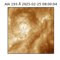 saia - 2025-02-25T08:00:04.844000