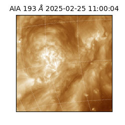 saia - 2025-02-25T11:00:04.843000