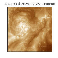 saia - 2025-02-25T13:00:06.927000