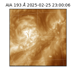 saia - 2025-02-25T23:00:06.936000