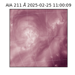 saia - 2025-02-25T11:00:09.630000