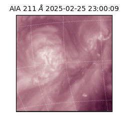 saia - 2025-02-25T23:00:09.622000