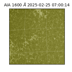 saia - 2025-02-25T07:00:14.125000