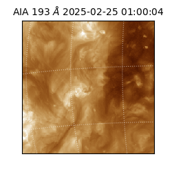 saia - 2025-02-25T01:00:04.846000