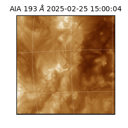 saia - 2025-02-25T15:00:04.843000