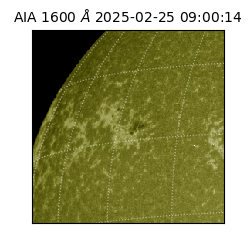 saia - 2025-02-25T09:00:14.125000