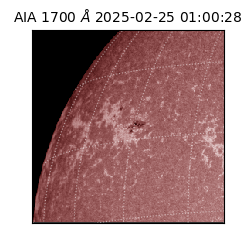saia - 2025-02-25T01:00:28.717000