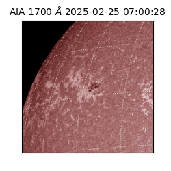 saia - 2025-02-25T07:00:28.717000