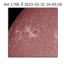 saia - 2025-02-25T14:00:28.741000