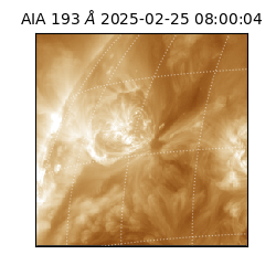 saia - 2025-02-25T08:00:04.844000