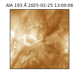 saia - 2025-02-25T13:00:06.927000
