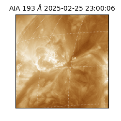 saia - 2025-02-25T23:00:06.936000