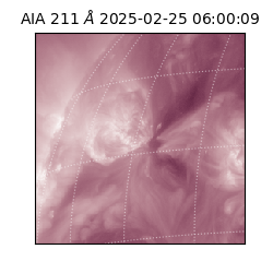 saia - 2025-02-25T06:00:09.618000