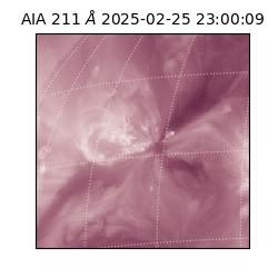 saia - 2025-02-25T23:00:09.622000