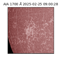 saia - 2025-02-25T09:00:28.721000