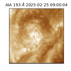 saia - 2025-02-25T09:00:04.843000