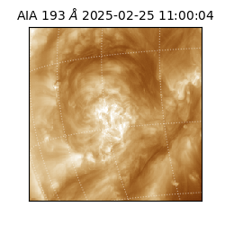 saia - 2025-02-25T11:00:04.843000