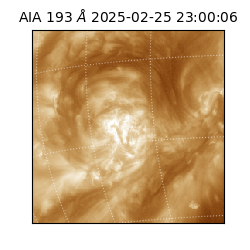 saia - 2025-02-25T23:00:06.936000