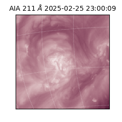 saia - 2025-02-25T23:00:09.622000