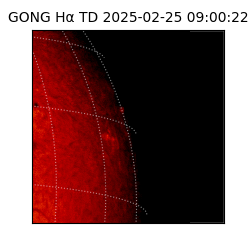 gong - 2025-02-25T09:00:22