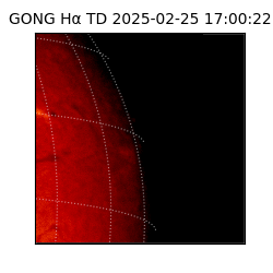 gong - 2025-02-25T17:00:22