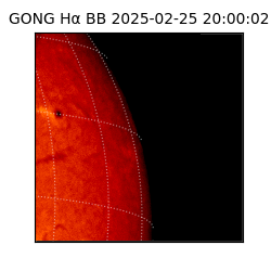 gong - 2025-02-25T20:00:02