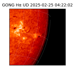 gong - 2025-02-25T04:22:02