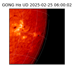 gong - 2025-02-25T06:00:02