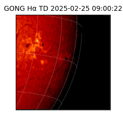 gong - 2025-02-25T09:00:22