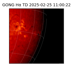 gong - 2025-02-25T11:00:22