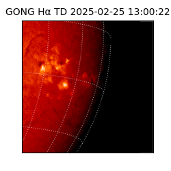 gong - 2025-02-25T13:00:22