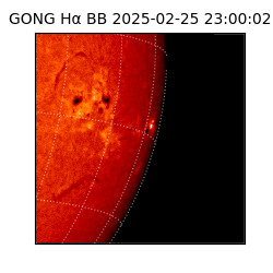 gong - 2025-02-25T23:00:02