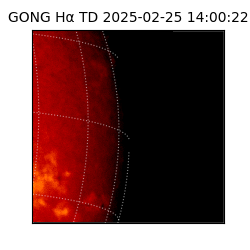 gong - 2025-02-25T14:00:22