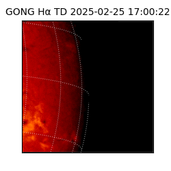 gong - 2025-02-25T17:00:22
