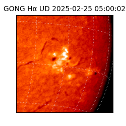 gong - 2025-02-25T05:00:02