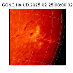 gong - 2025-02-25T08:00:02
