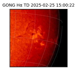 gong - 2025-02-25T15:00:22