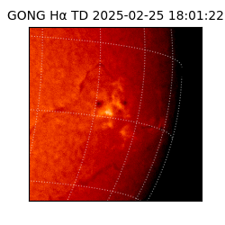 gong - 2025-02-25T18:01:22