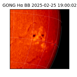 gong - 2025-02-25T19:00:02