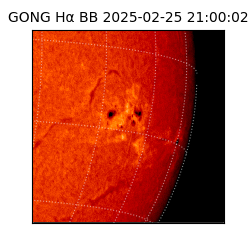 gong - 2025-02-25T21:00:02