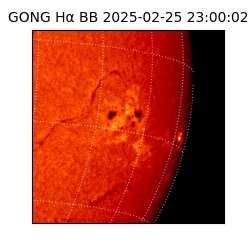 gong - 2025-02-25T23:00:02